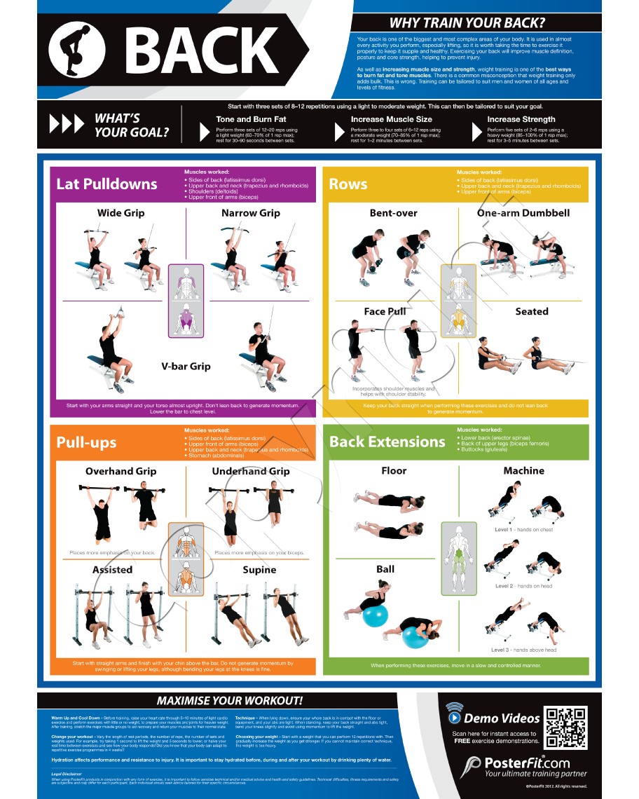 back exercise chart for men