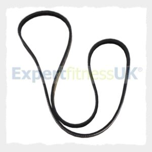 Indoor Bike V Drive Belt