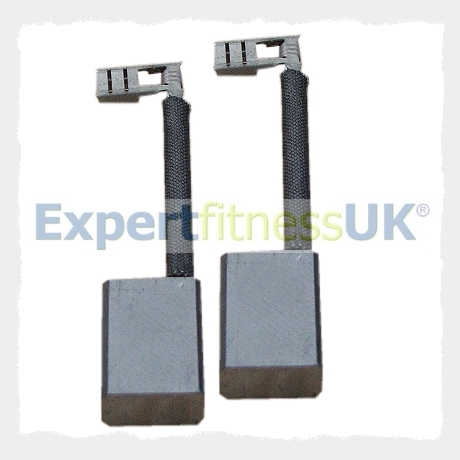 Carl Lewis Treadmill DC Motor Brushes