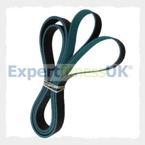 Shuttle Belt