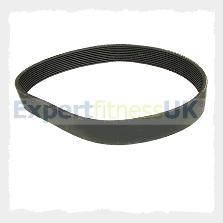 Drive Belt