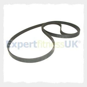 Drive Belt