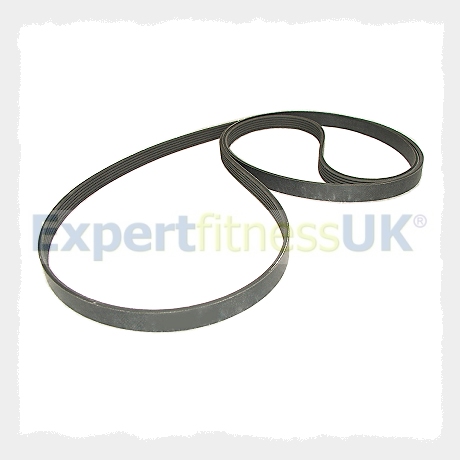 Drive Belt