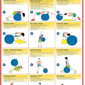 EXERCISE GYM BALL EXERCISES CHART STRETCHING