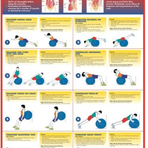 EXERCISE GYM BALL EXERCISES CHART LEVEL 2