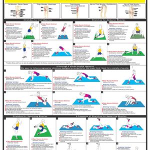 Stretching Chart (The Lower Limbs) Wall Chart Poster