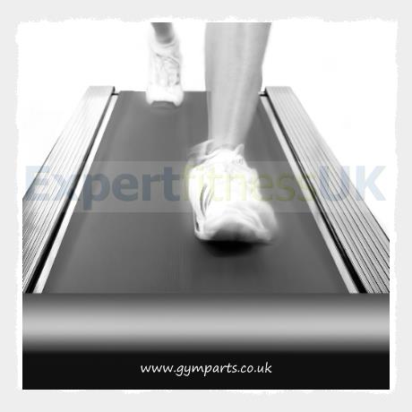 3075mm x 508mm Flat Grip Treadmill Belt image 2