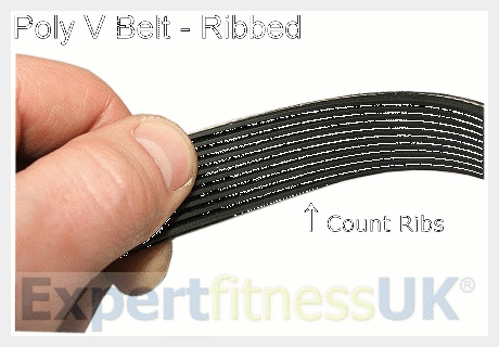 Poly V Drive Belt