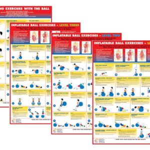 EXERCISE GYM BALL EXERCISES CHART SET OF 4