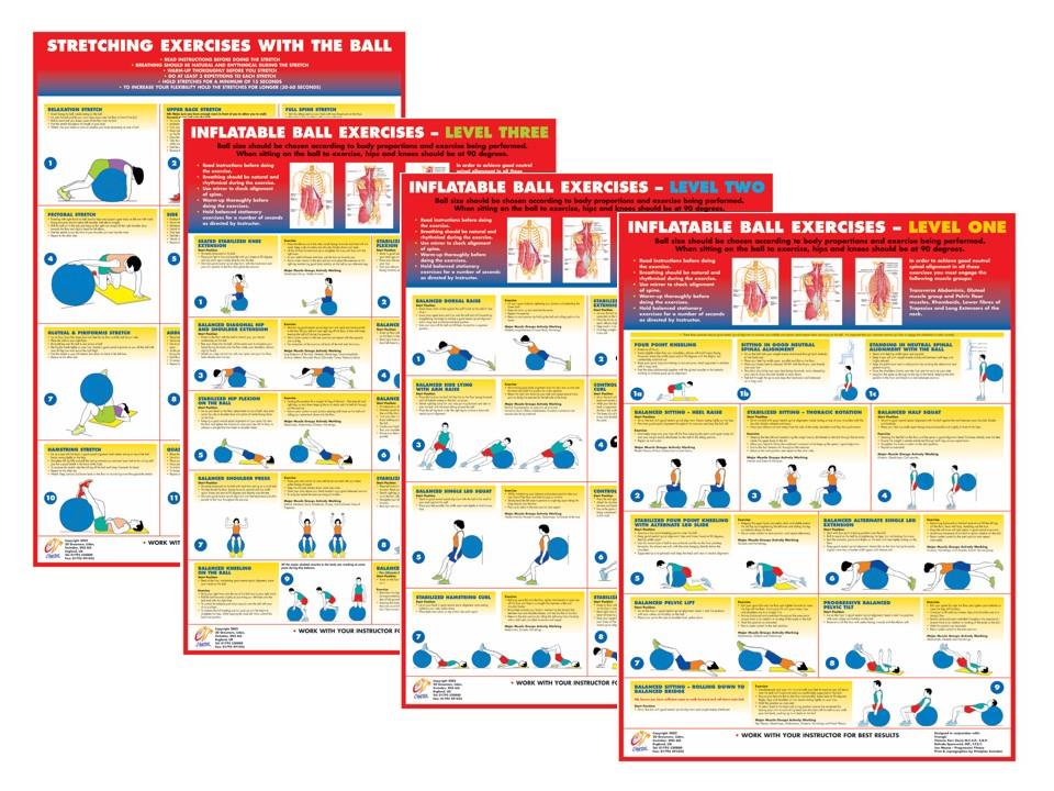 EXERCISE GYM BALL EXERCISES CHART SET OF 4