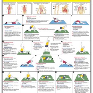 Stretching Chart (The Trunk & Back) Wall Chart Poster