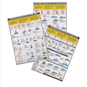 Stretching Wall Chart Poster – SET OF 3