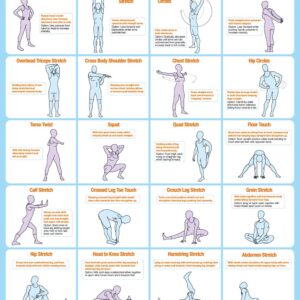 Full Body Warm Up Stretching Chart Poster