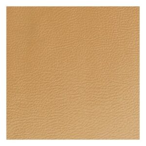 CHAMPAGNE Gym Upholstery Vinyl