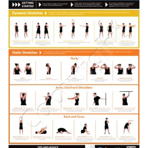 Upper Body Exercise Wall Chart Poster